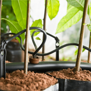 Đầu tưới nhỏ giọt Rivulis Supertif - Dòng chảy Ổn định, Hoàn hảo cho Địa hình dốc 8 đầu tưới nhỏ giọt bù áp Rivulis Supertif