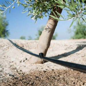 Đầu tưới nhỏ giọt Rivulis Supertif - Dòng chảy Ổn định, Hoàn hảo cho Địa hình dốc 7 đầu tưới nhỏ giọt bù áp Rivulis Supertif