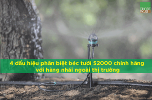 béc tưới S2000 chính hãng