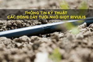 THÔNG TIN KỸ THUẬT CÁC DÒNG DÂY TƯỚI NHỎ GIỌT RIVULIS