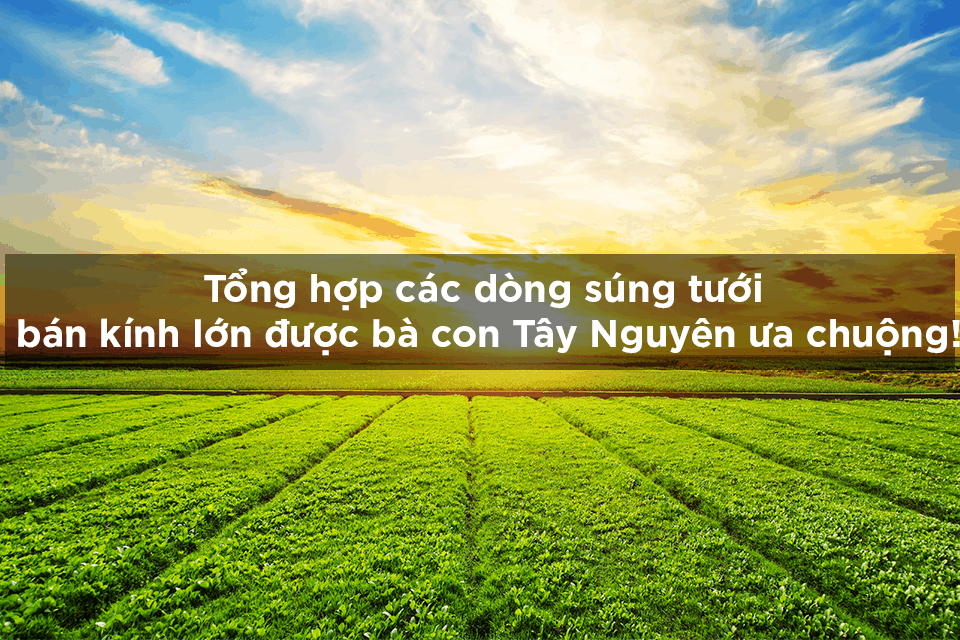 súng tưới bán kính lớn