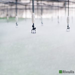 Đầu tưới Rivulis Rondo phun sương 6 Đầu tưới Rivulis phun sương