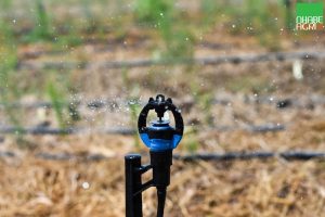 Tổng hợp video thực tế sản phẩm béc tưới S2000