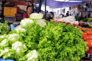 gia-rau-xanh-re-nhu-cho-1