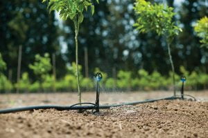 Ống LDPE cho hệ thống tưới tư động