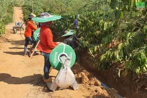 thi-cong-lap-dat-he-thong-tuoi-tu-dong