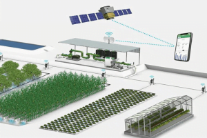 Giai-phap-chuyen-doi-tuoi-thu-cong-sang-tuoi-tu-dong