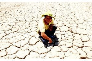 Nam Trung bộ hạn hán, nông dân điêu đứng