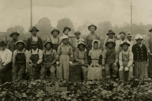 Nền nông nghiệp Nhật Bản - Thời cổ đại