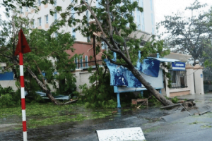 Bão Xangsane - Cơn bão số 6 tàn khốc bậc nhất trong lịch sử Việt Nam: Bài học đau thương