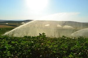 Súng tưới cây Ducar Atom là loại béc tưới cây bán kính lớn có dạng cánh đập