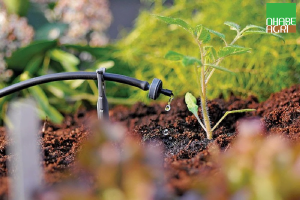 Đầu tưới nhỏ giọt