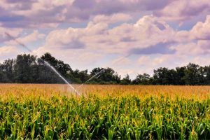 Top 5 van điện từ chất lượng bạn có thể tham khảo và ứng dụng