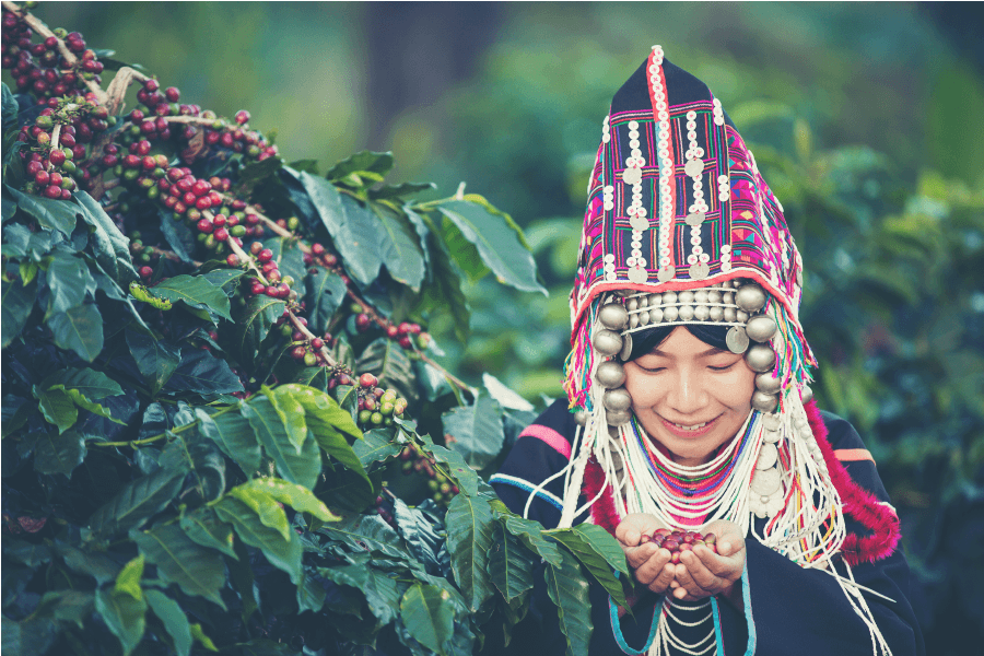 Cây cà phê là mặt hàng nông sản quan trọng của thế giới_2