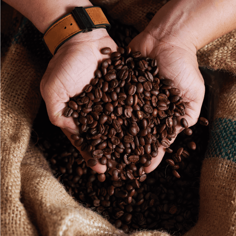 Tìm hiểu về hạt cà phê Arabica & Robusta