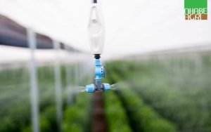 Đơn vị uy tín cung cấp giải pháp tưới phun sương hàng đầu