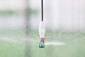 Hướng dẫn cách tự làm hệ thống tưới phun sương tại nhà cho biệt thự