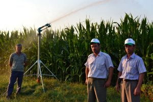 Hướng dẫn cách tự làm hệ thống tưới phun mưa tại nhà đơn giản