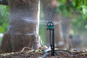 Những ưu điểm tuyệt vời khi sử dụng béc tưới phun mưa của Nhà Bè Agri