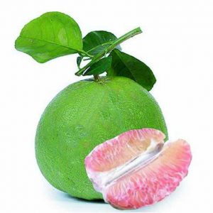 Lưu ý khi chăm sóc bưởi