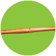 Tưới Nhỏ Giọt Olympia