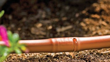 Drip irrigation