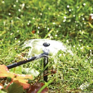 Béc tưới Teco Bubbla 1