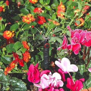 Béc tưới cảnh quan Teco Aquila-Jet-Spray-PC-80-lph