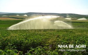 tưới sân bay, bến cảng