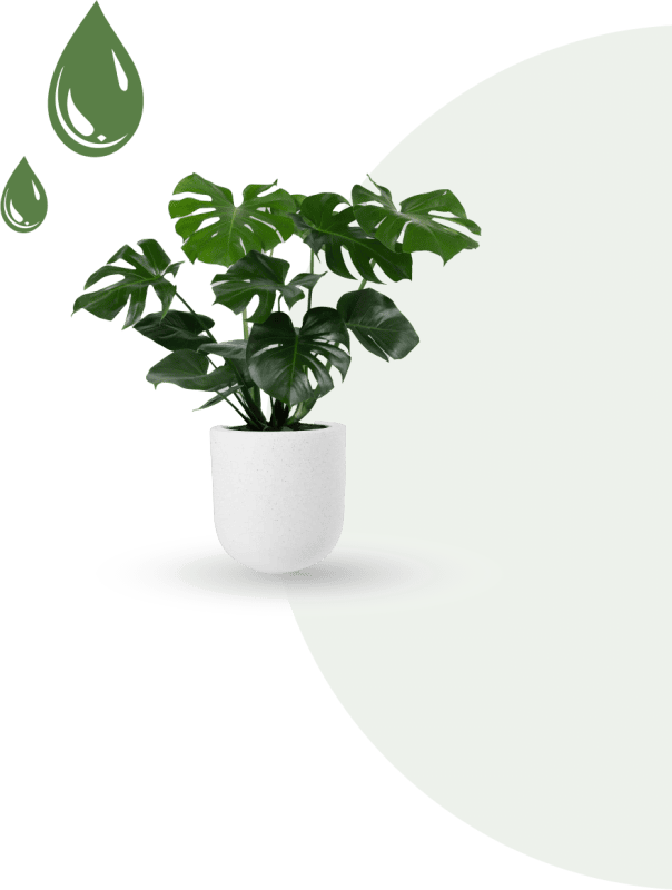 Giai-phap-tuoi-kieng-la-cay-noi-that-02 LANDING PAGE - GIẢI PHÁP TƯỚI