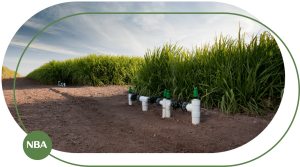 Ky thuat tuoi mia tu dong Horizontal 01