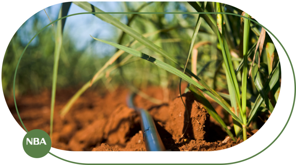 Ky thuat tuoi mia tu dong Horizontal 04