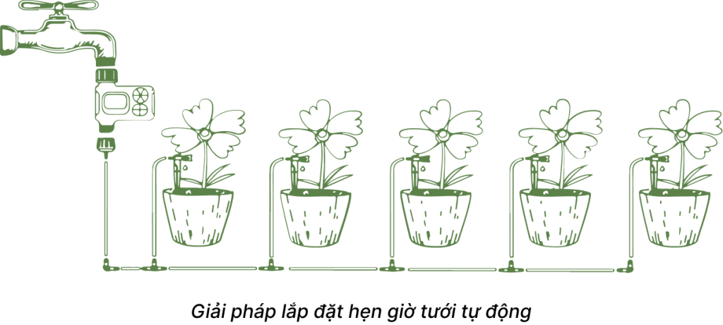 Lap-dat-he-thong-tuoi-nho-giot-cho-cay-trong-chau-voi-hen-gio-tuoi LANDING PAGE - GIẢI PHÁP TƯỚI