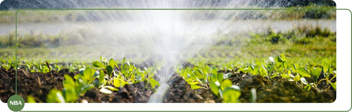 Ống phun mưa Driptec