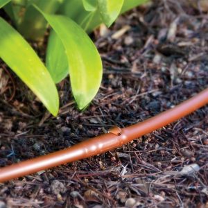 Ống tưới nhỏ giọt DIG Micro dripline - Lựa chọn hoàn hảo cho tưới cảnh quan sân vườn 7 Ứng dụng ống nhỏ giọt