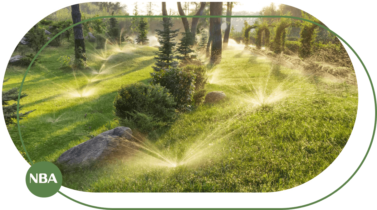 Tuoi luon duong giai phan cach bang bec tuoi popup