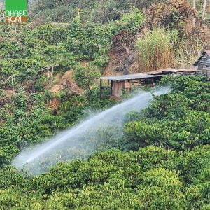 Hình ảnh sử dụng súng tưới cây Sky