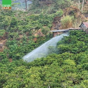 Hình ảnh sử dụng súng tưới cây(1)