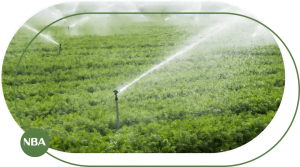 Top 5 béc tưới cây giá rẻ