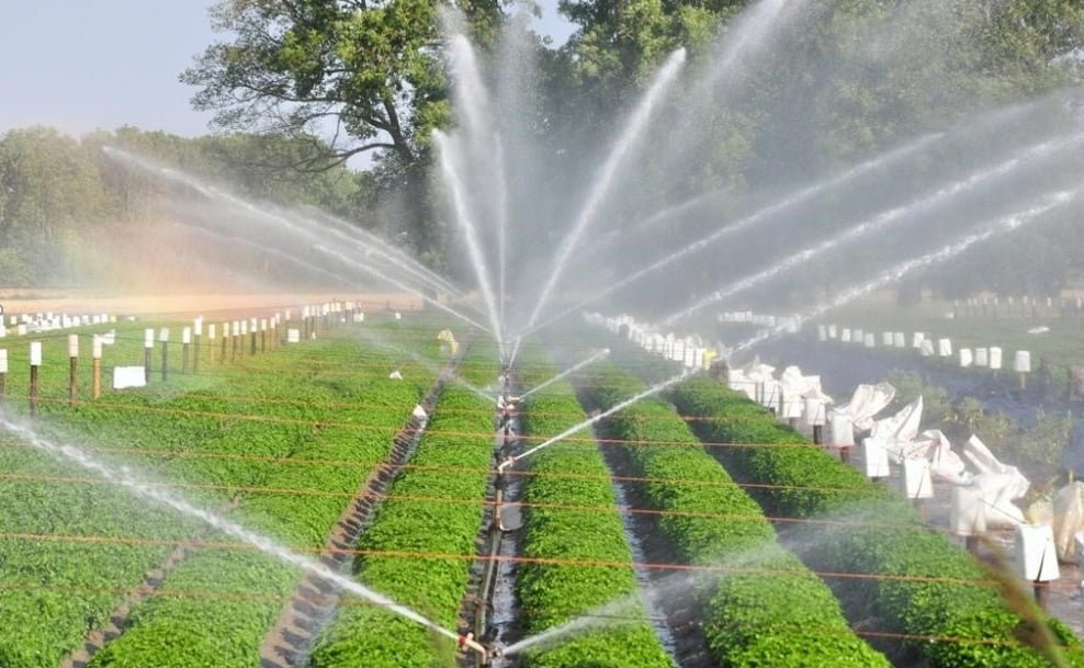 Béc tưới cây bán kính lớn hiệu quả cho vườn cây trồng 3 Béc tưới cây bán kính lớn hiệu quả cho vườn cây trồng