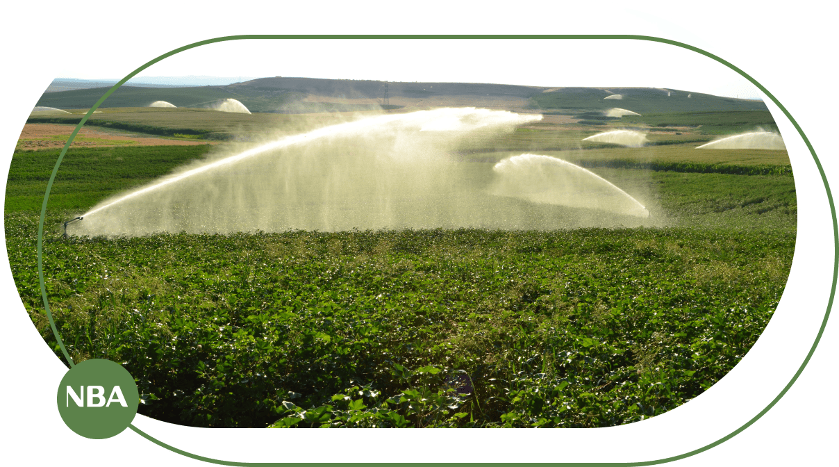 Báo giá béc tưới cây cập nhật 2024-2025-2026 3 béc tưới cây bán kính lớn