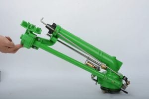 top-5-loai-sung-tuoi-cay-china-pho-bien-nhat-hien-nay