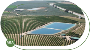 Hướng dẫn thi công bạt lót hồ đúng kỹ thuật, đơn giản, tiết kiệm chi phí 3 Bat lot ho chua nuoc tuoi