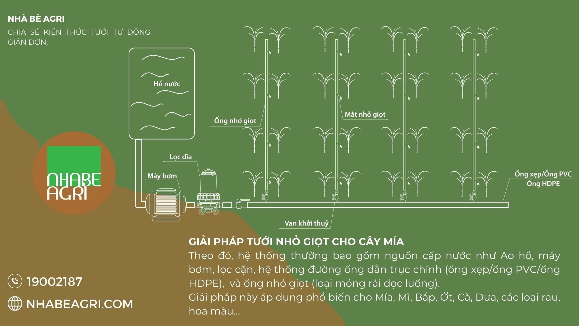 Chi phí lắp đặt hệ thống tưới mì tự động 3 Mo hinh tuoi mia tu dong jpg