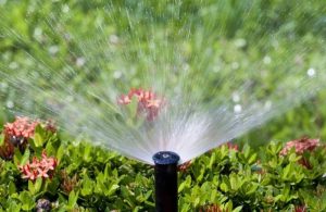 Kỹ thuật tưới tự động cho vườn hoa là phương pháp sử dụng hệ thống thiết bị để cung cấp nước cho cây trồng một cách tự động