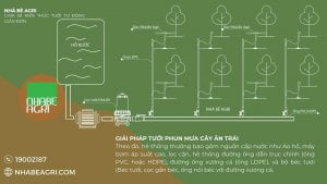 Mô hình tưới sầu riêng tự động
