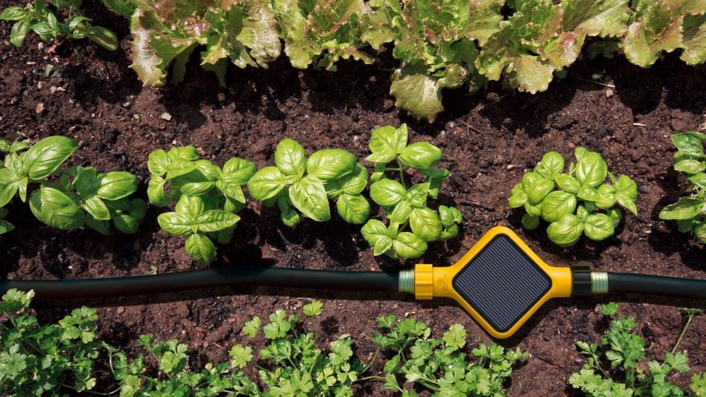 Ứng dụng của cảm biến độ ẩm trong hệ thống tưới tự động