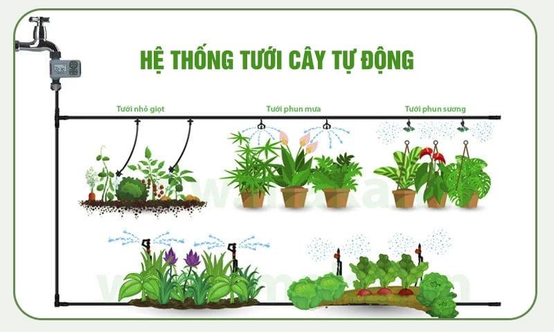 Hệ thống tưới cây tự động