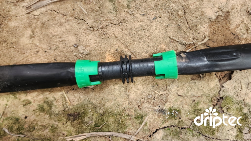 Noi ong tuoi nho giot 17mm Noi ong tuoi nho giot 17mm