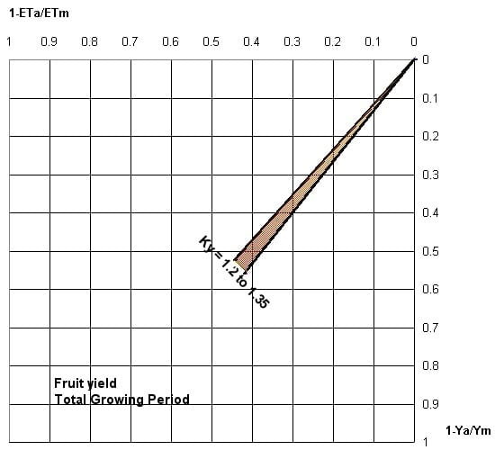 Bang tuong quan luong nuoc boc hoi toi nang suat chuoi